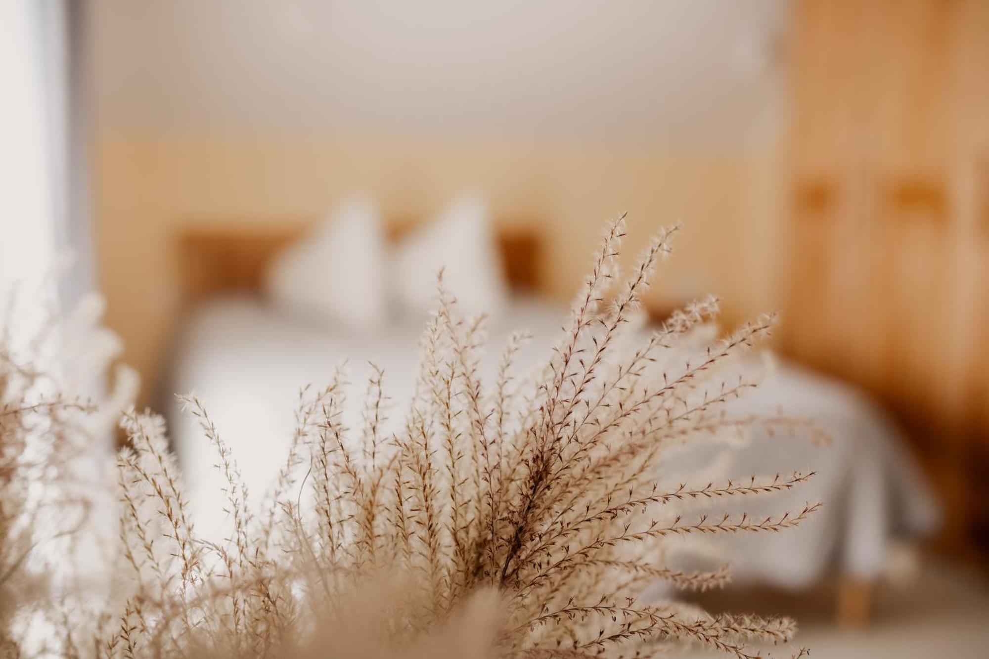 Saules Iela 2A Aparthotel Saldus Rum bild